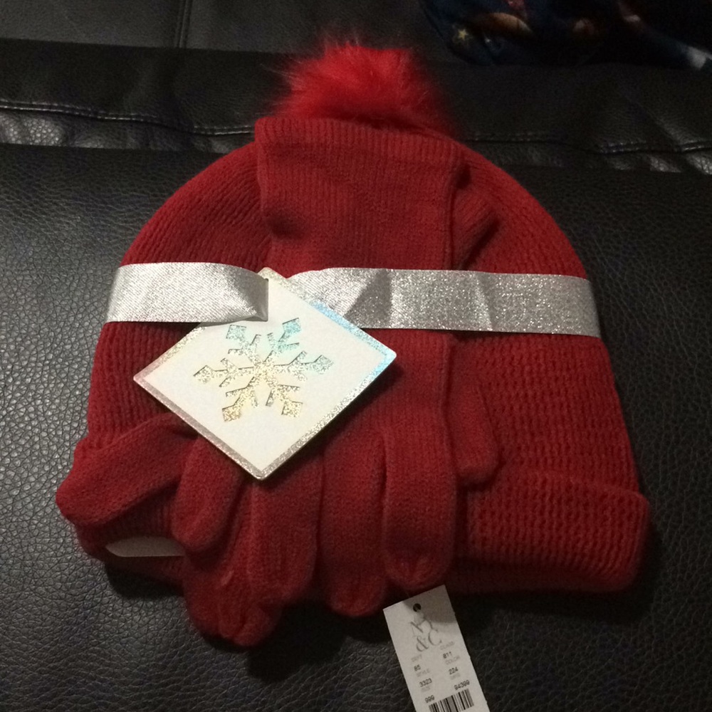 new york & company hat and gloves